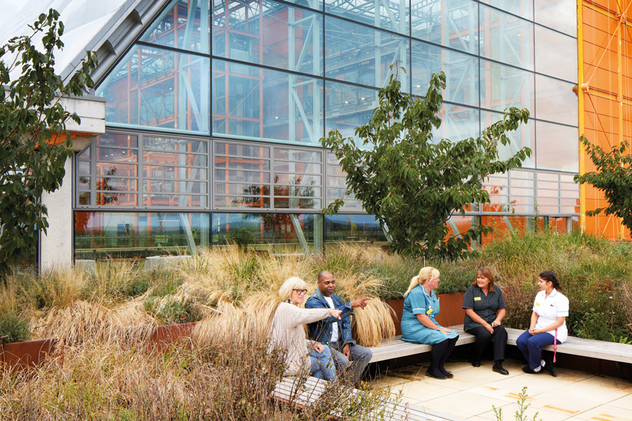 Biophilic spaces for mental health and wellbeing